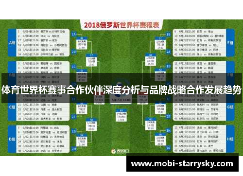 体育世界杯赛事合作伙伴深度分析与品牌战略合作发展趋势