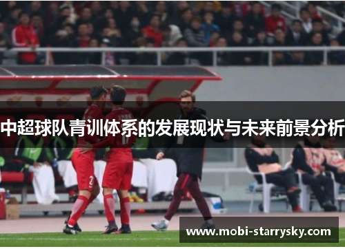 中超球队青训体系的发展现状与未来前景分析